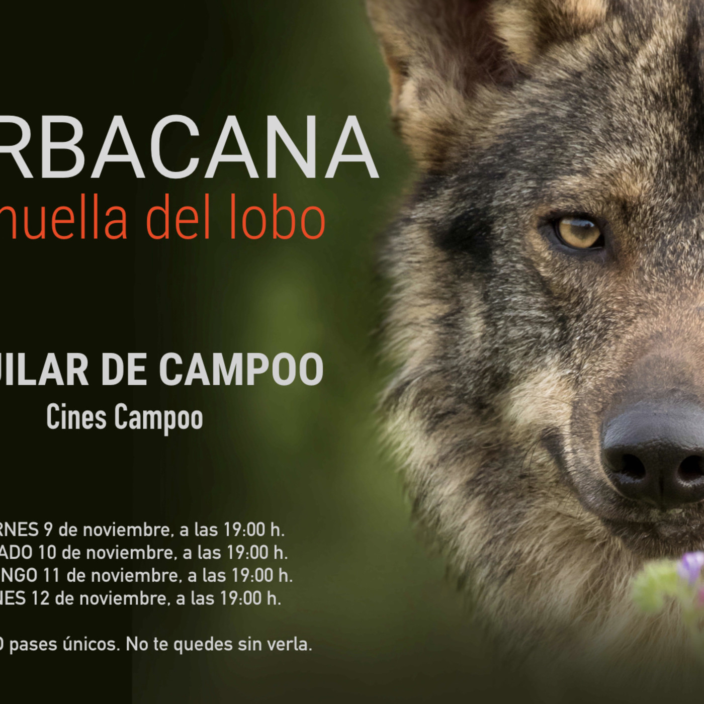 Barbacana La Huella Del Lobo Ver Online