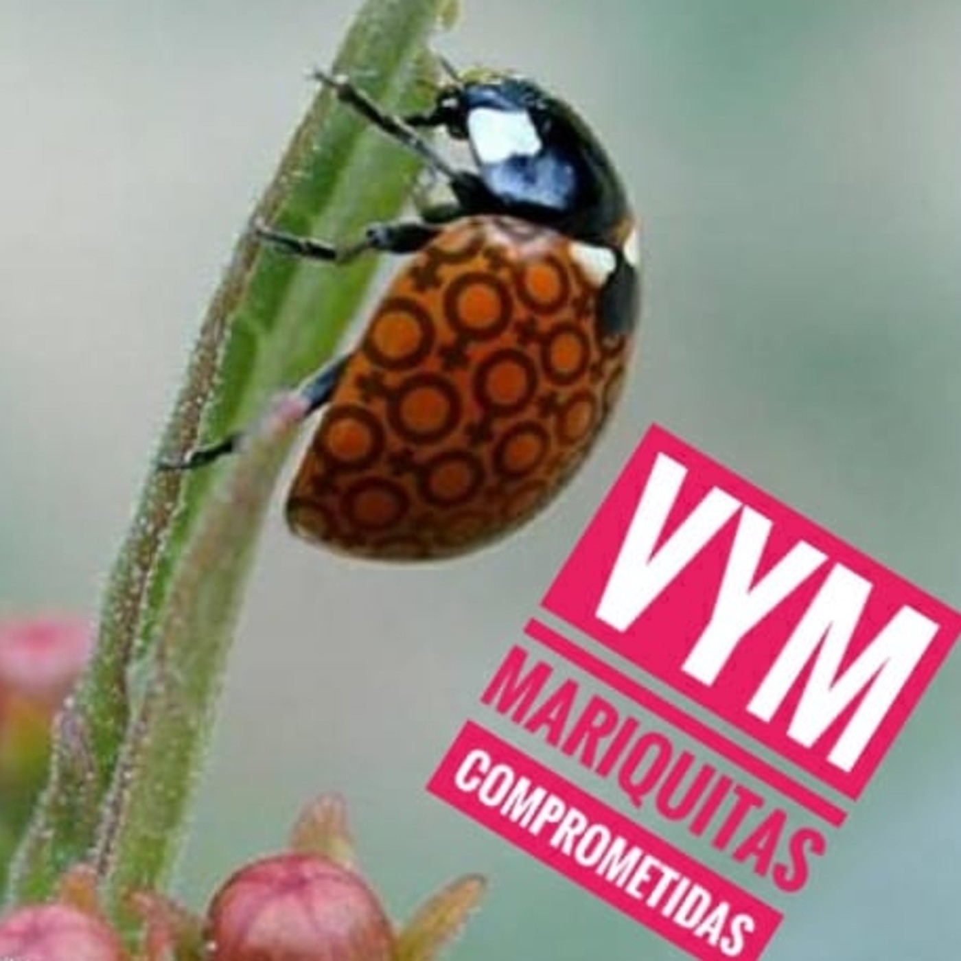 Vagos y Maleantes, el Podcast