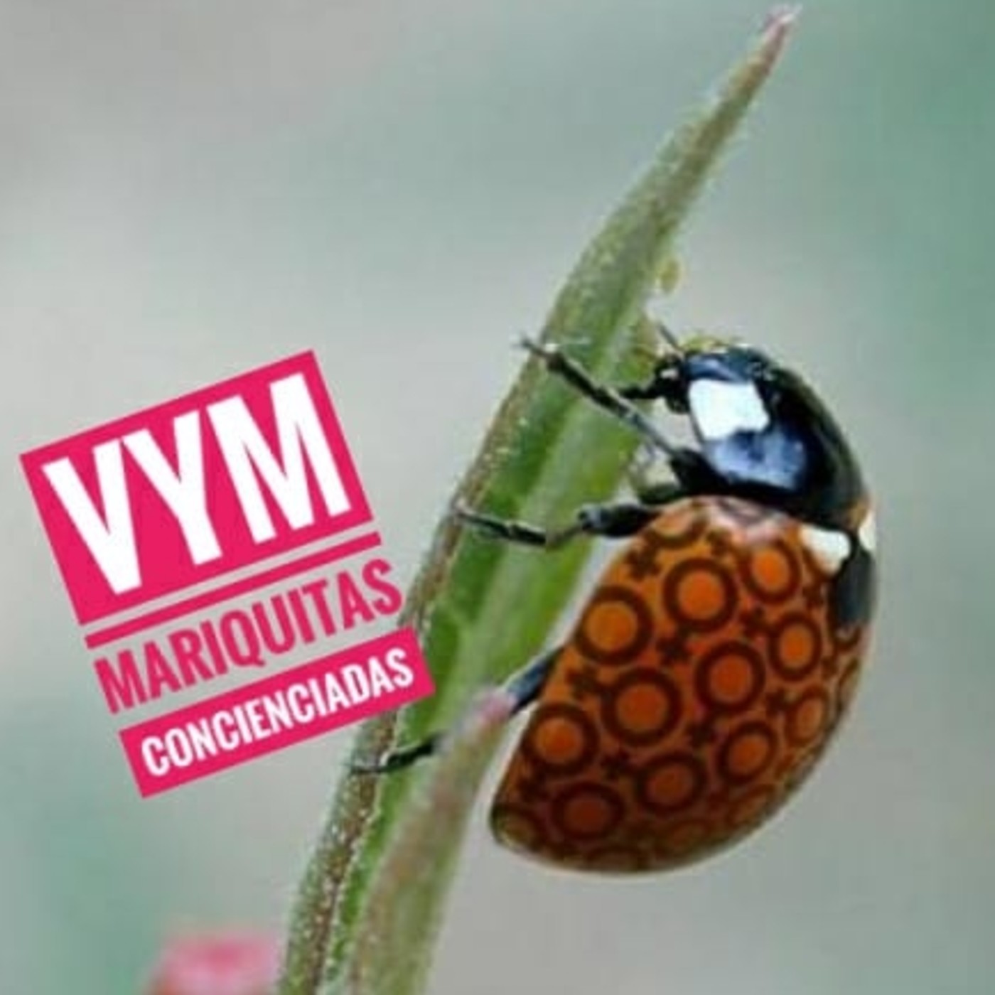 Vagos y Maleantes, el Podcast