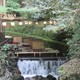 Viaje a Japón con Joan Piquer 2018