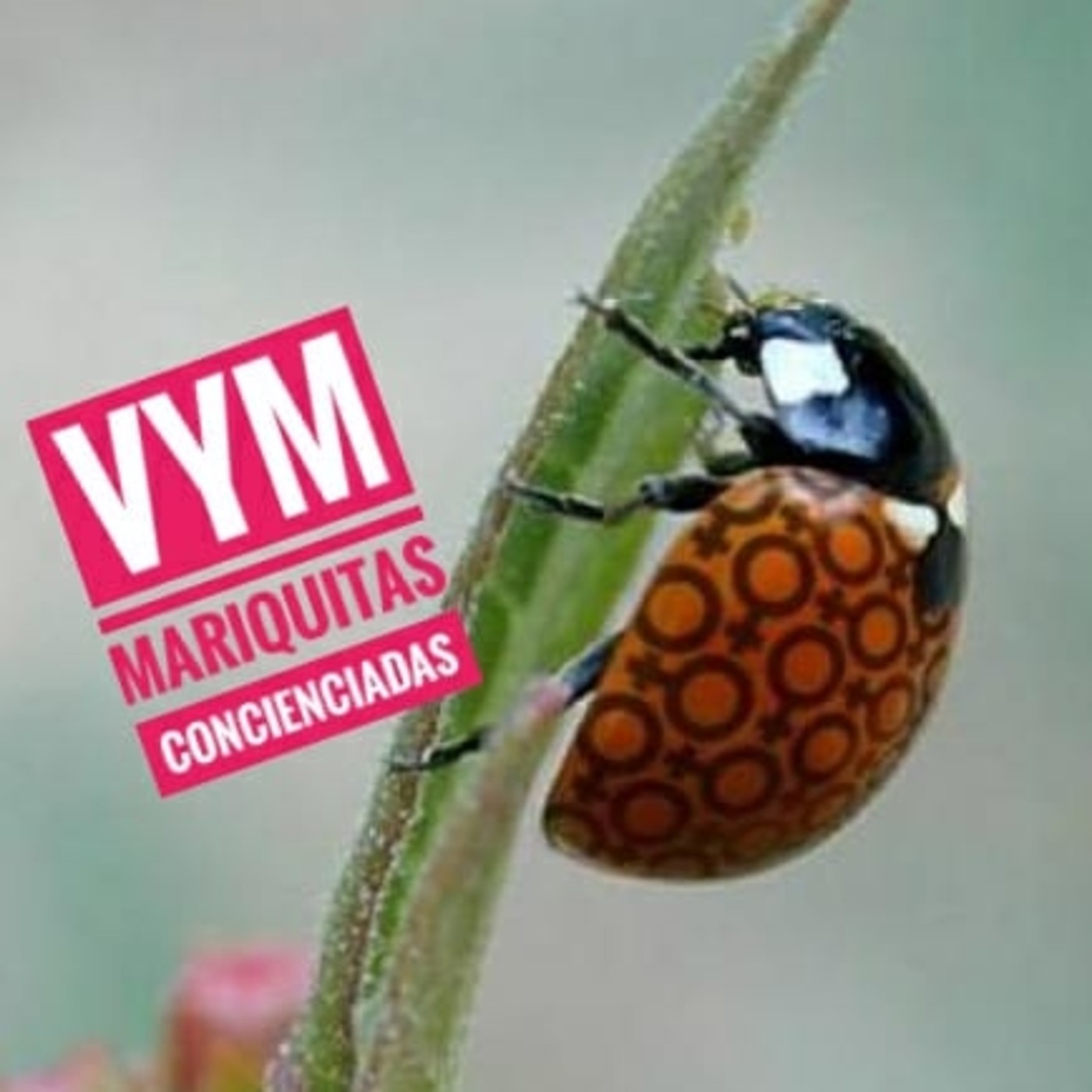 Vagos y Maleantes, el Podcast