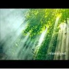 Música hermosa de luz, fácil, suave e inspiradora (Relaxdaily)
