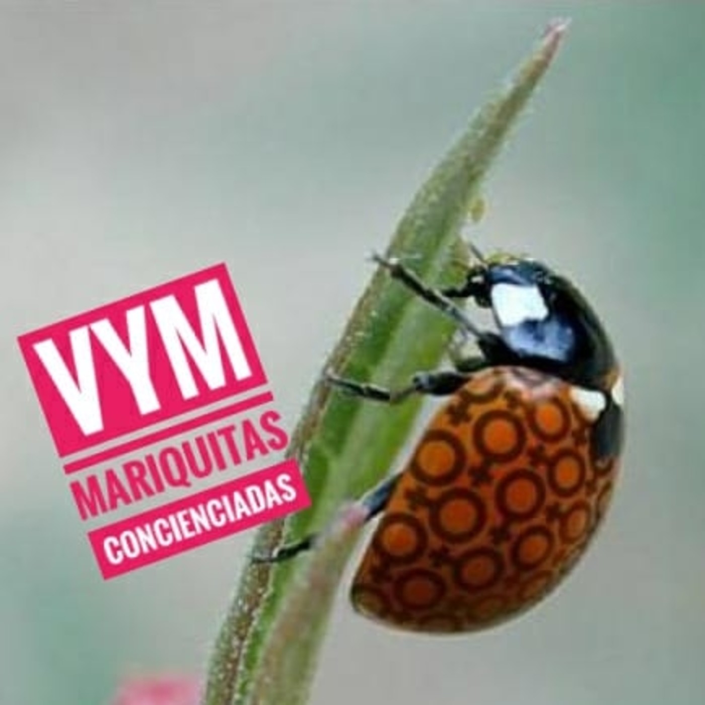 Vagos y Maleantes, el Podcast