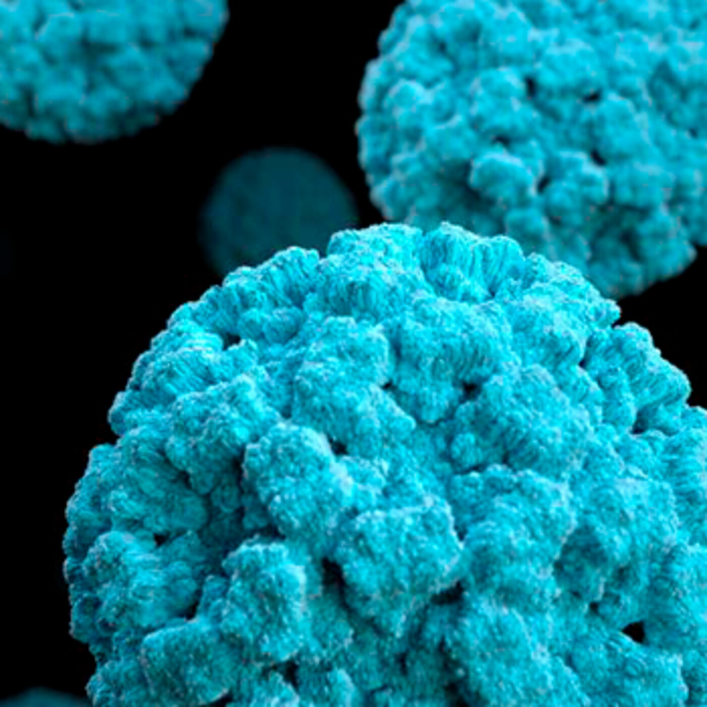 Norovirus algunas claves de un virus estomacal que puede ser peligroso