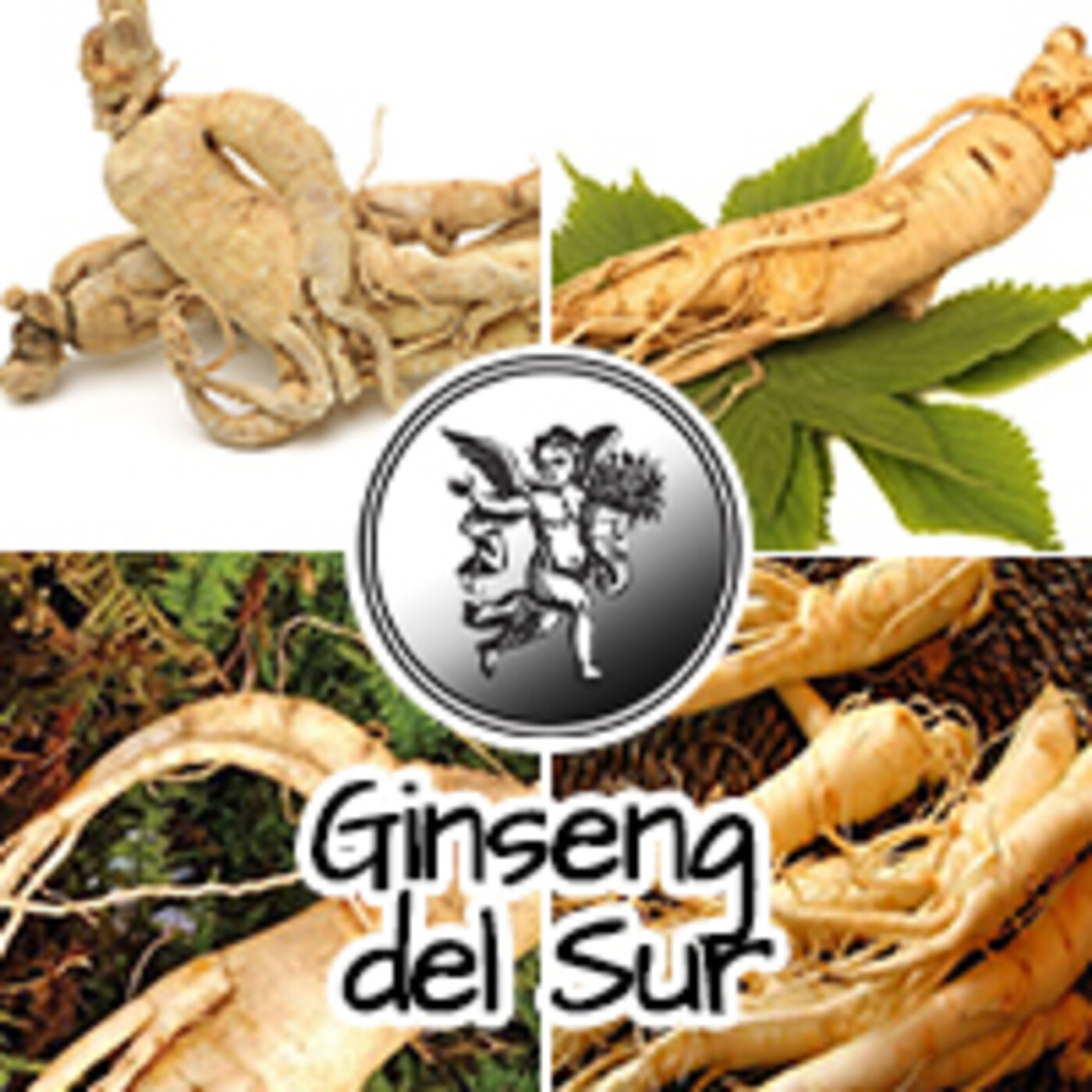 Ginseng Indio El Angel De Tu Salud