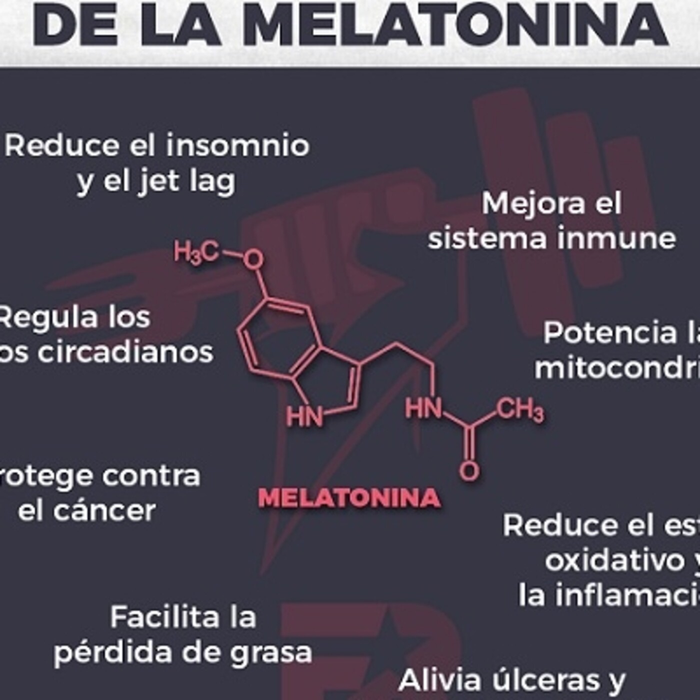 Todo Sobre La Melatonina Beneficios Estrategias Para Elevarla Y