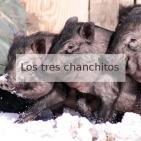 3.141592... LIGO y las ondas gravitacionales