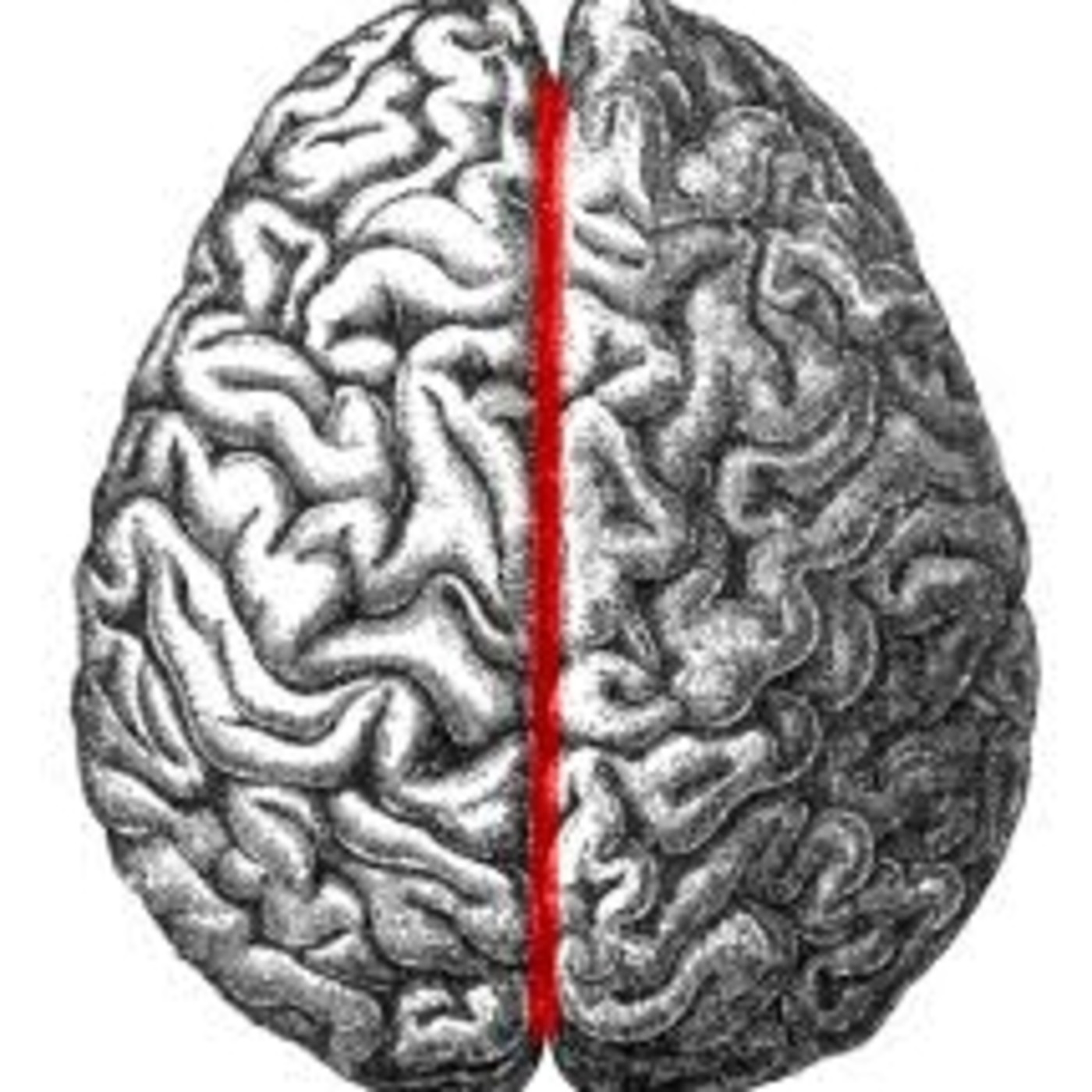 AUROOM