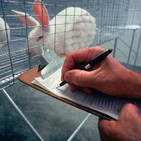 Investigación con animales