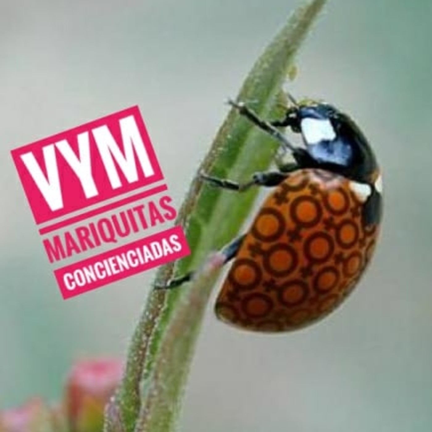 Vagos y Maleantes, el Podcast