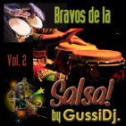 BRAVOS DE LA SALSA Vol. 2 by GussiDj.