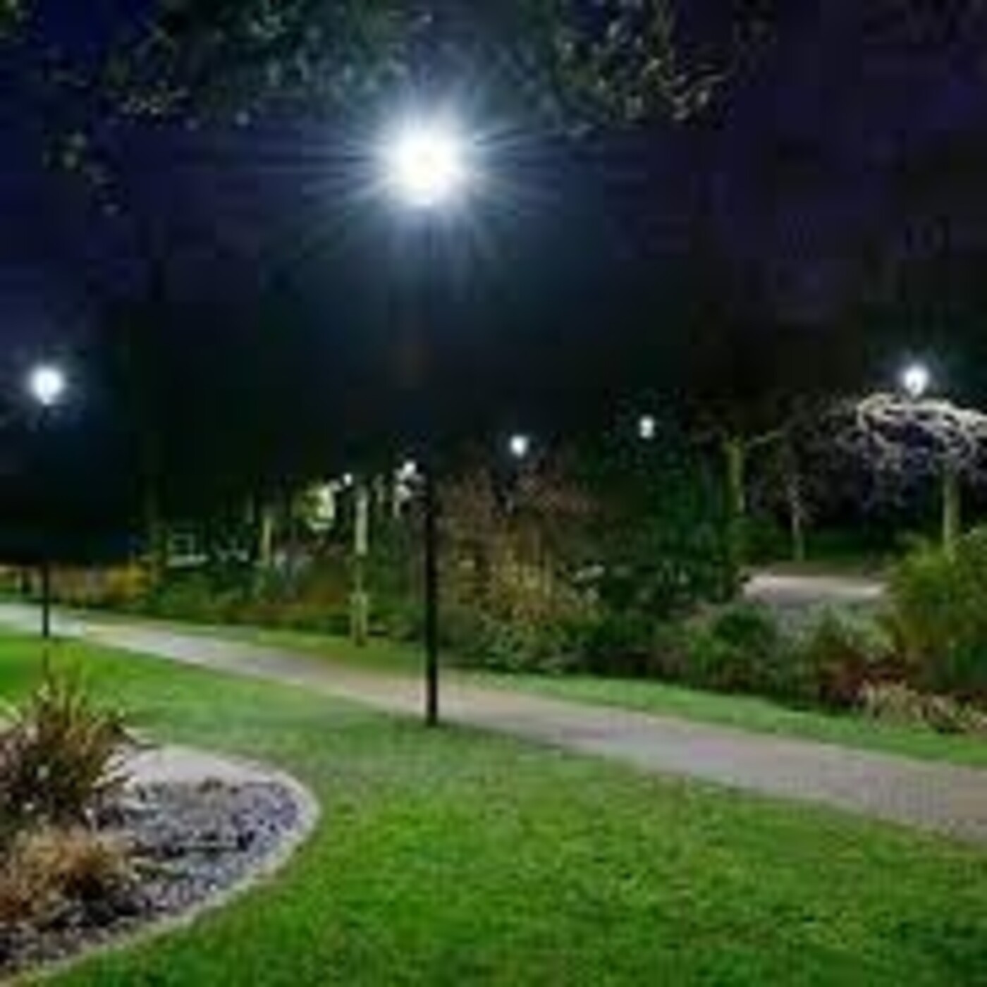 El jardín de tinta