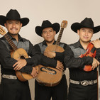 Trío Acorde Huasteco. Huapango