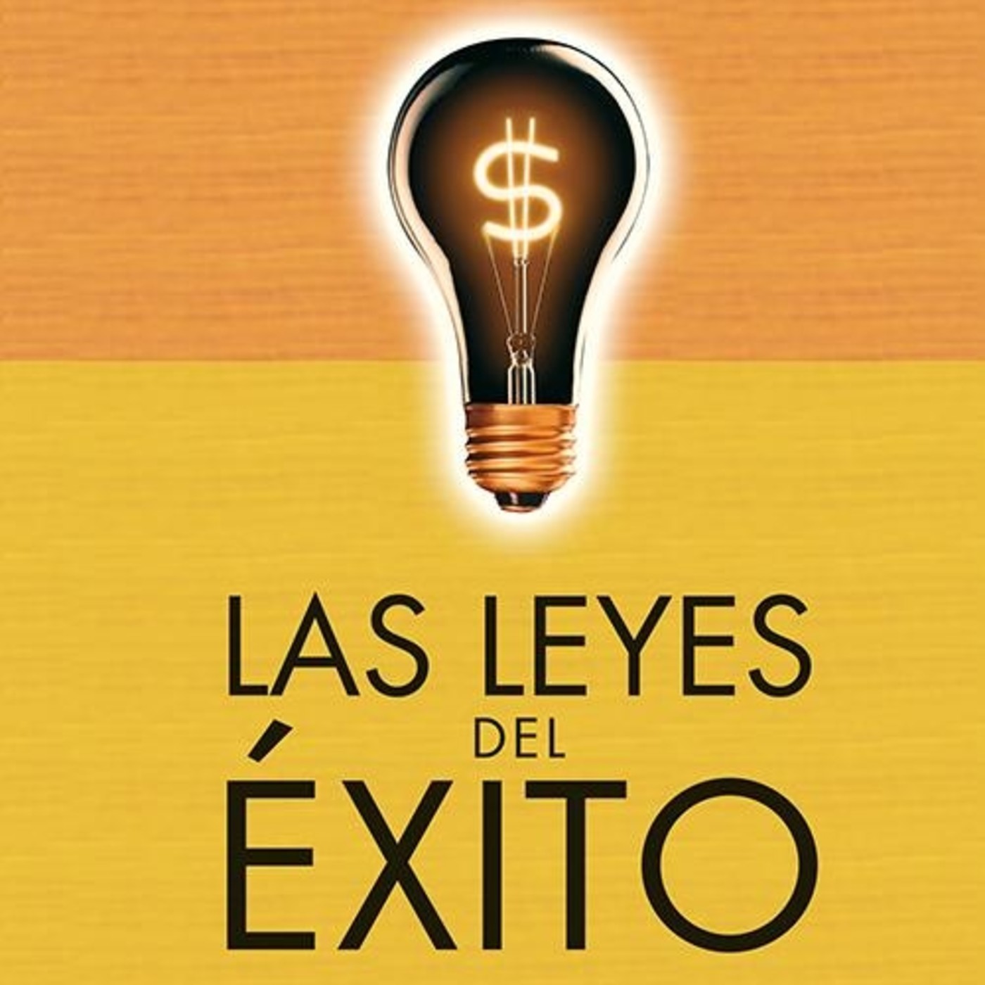 Las Leyes Del Exito Napoleon Hill Iniciativa Y Liderazgo En