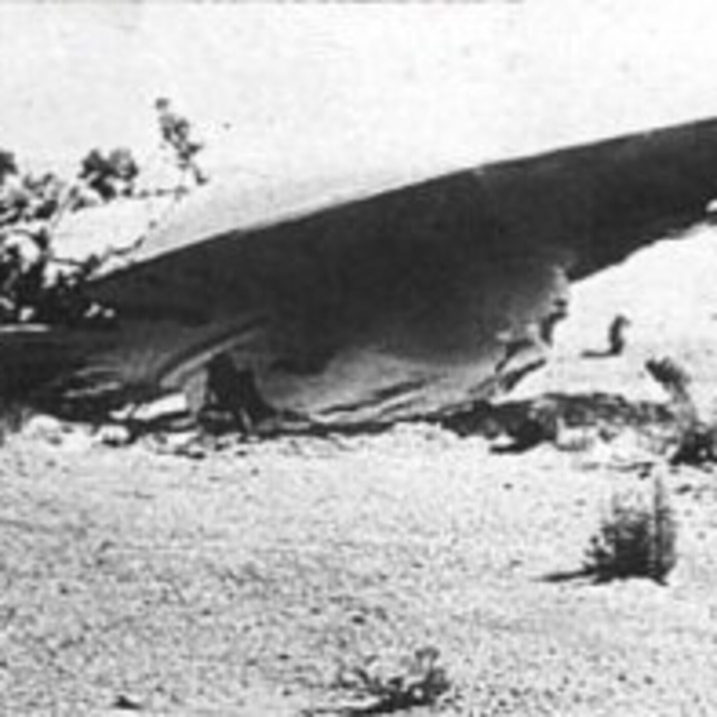 La Verdadera Historia Sobre El Caso Roswell Un Enigma Con Muchas Preguntas Y Pocas Certezas En