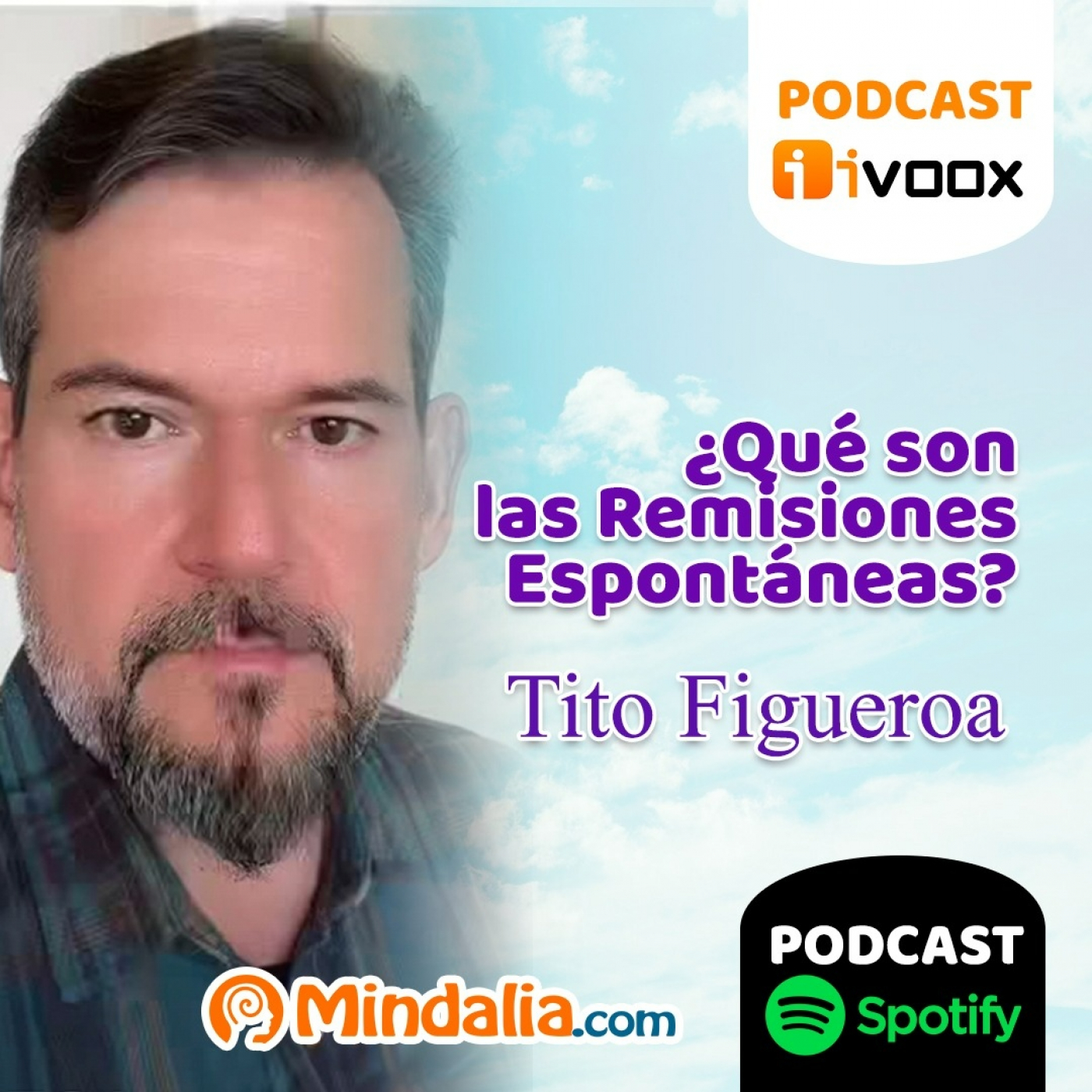 Qu Son Las Remisiones Espont Neas Por Tito Figueroa Mindalia