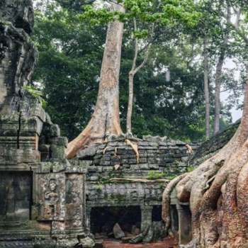 Voces Del Misterio N Fantasmas En La Selva Y Otros Misterios Con