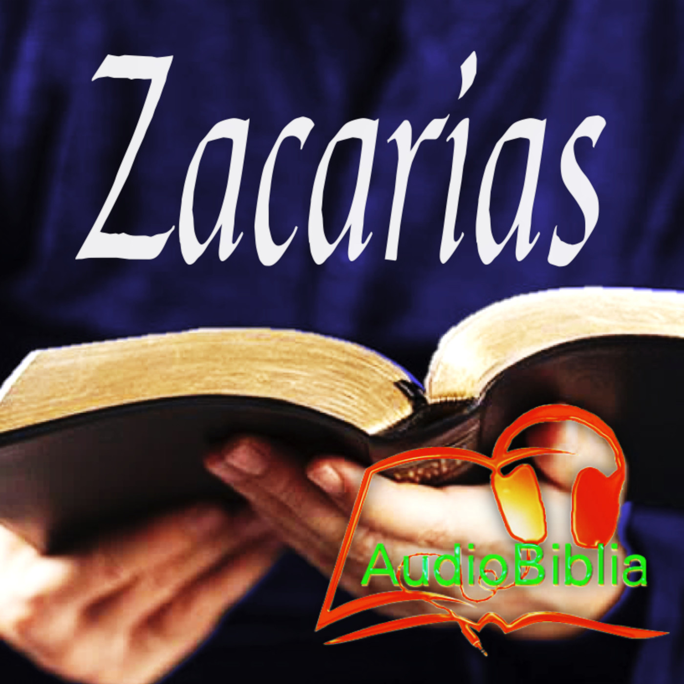 Zacarías 1, 16 AudioBiblia en AT38 Libro de Zacarías, AudioBiblia en