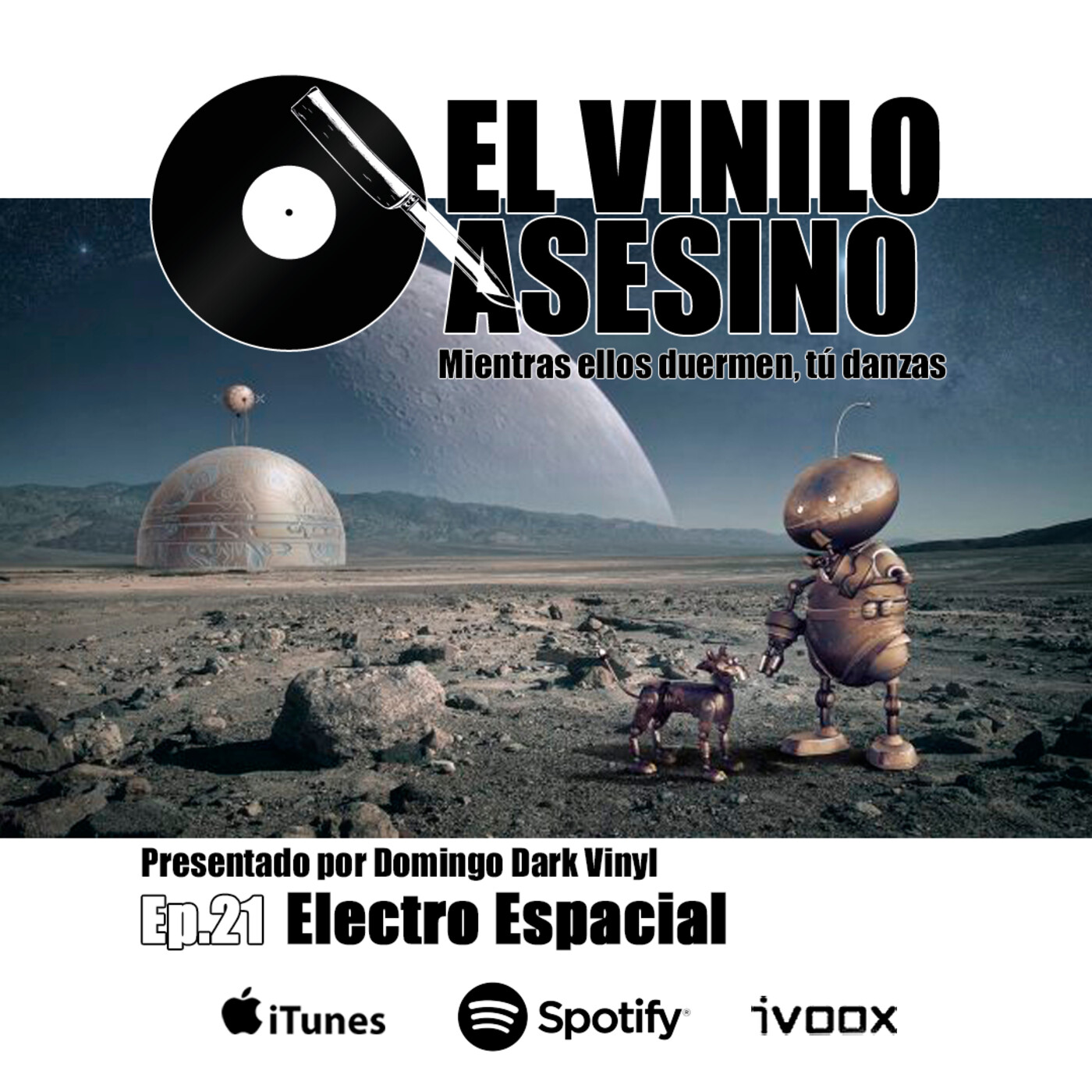 EL VINILO ASESINO