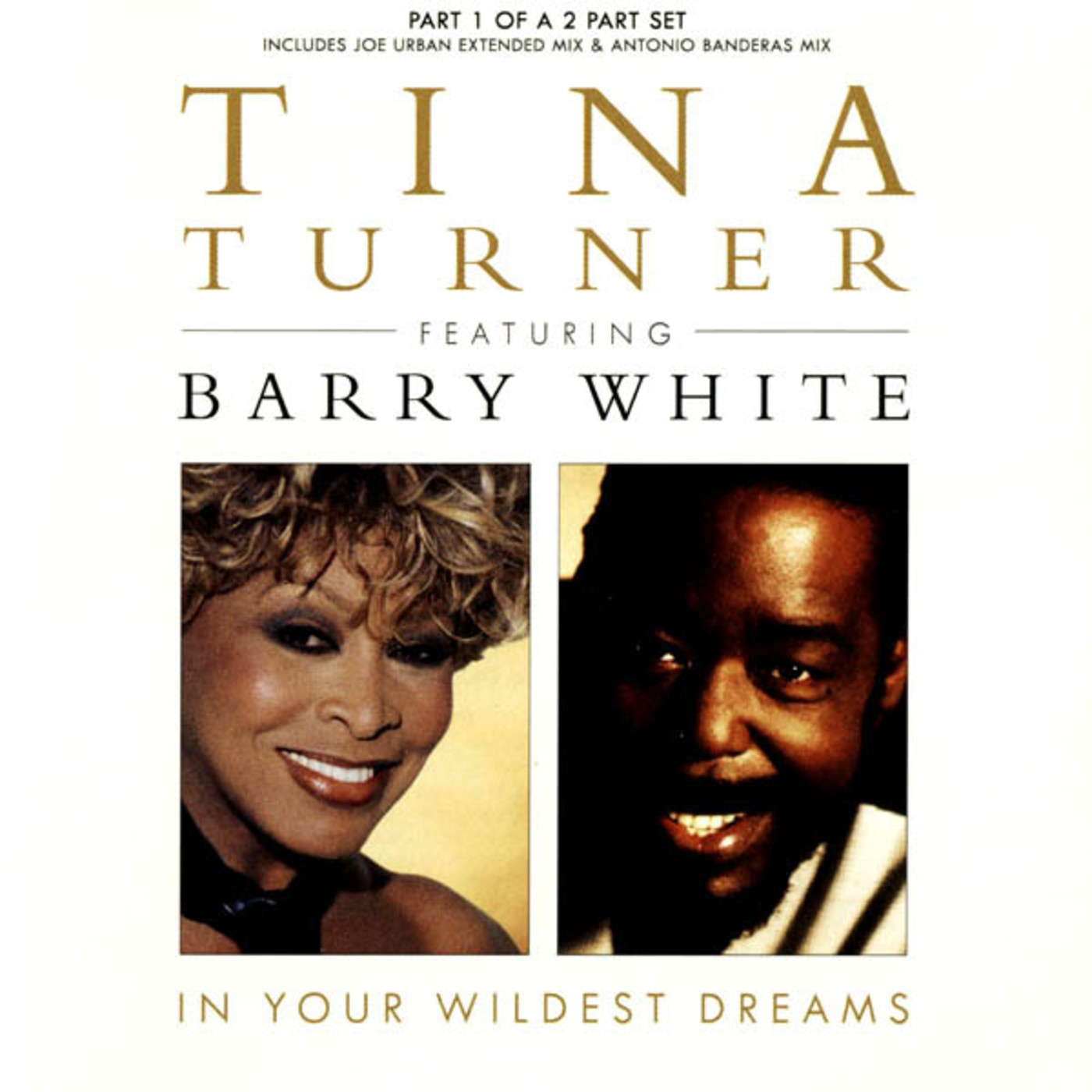 tina-turner-featuring-barry-white-in-your-wildest-dreams-cd-uk-1996