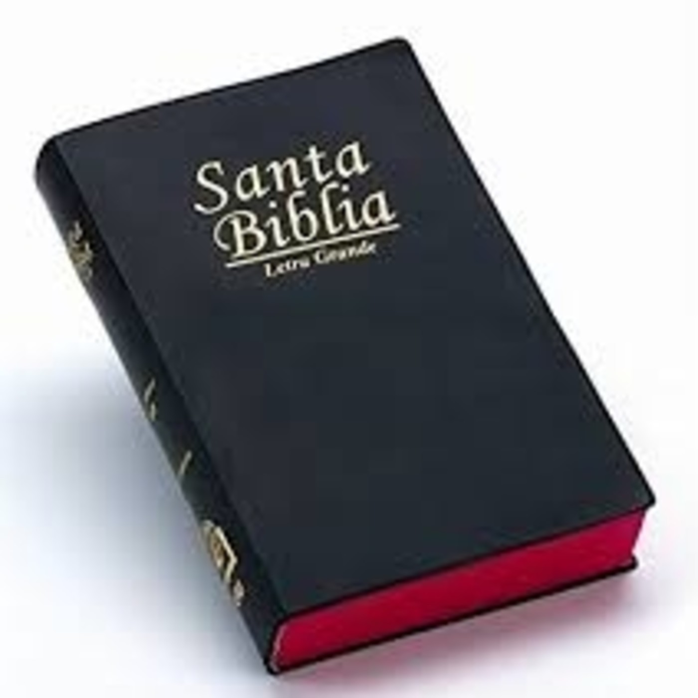 la biblia reina valera 1960 en audio gratis la biblia reina valera 1960 en audio gratis