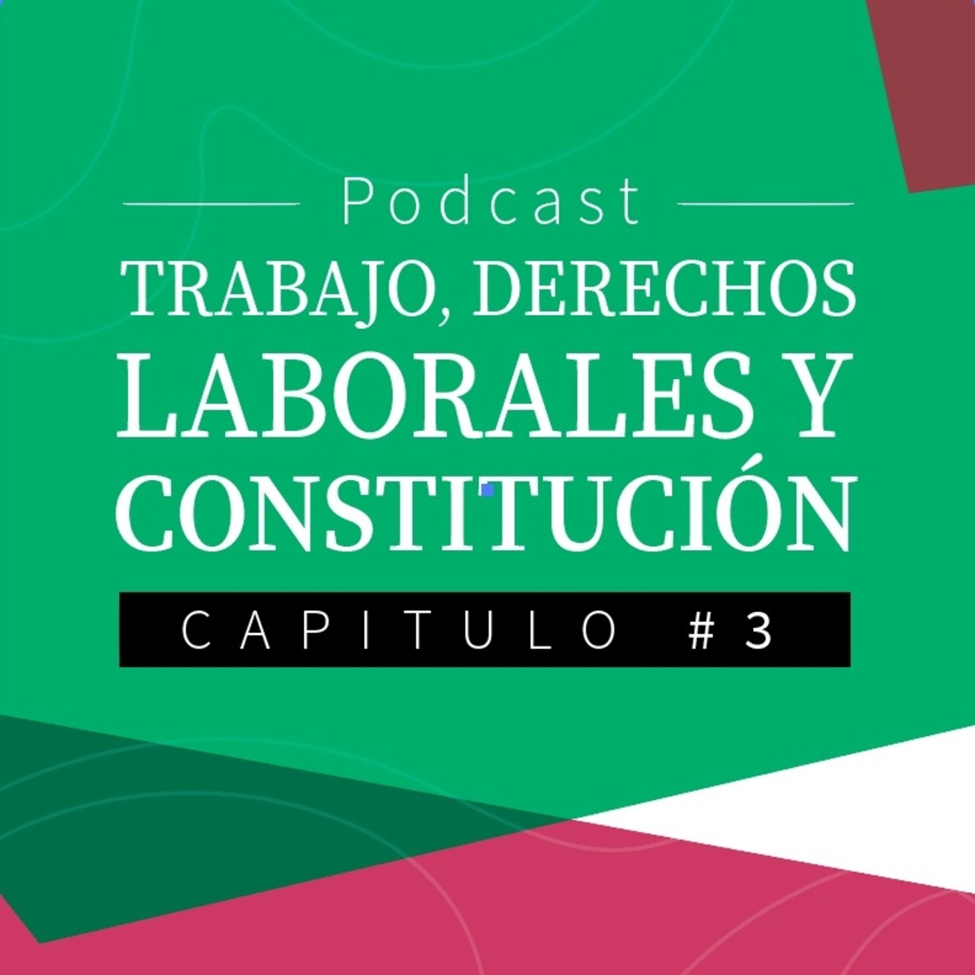 trabajo-derechos-laborales-y-constituci-n-en-arica-constituyente-en