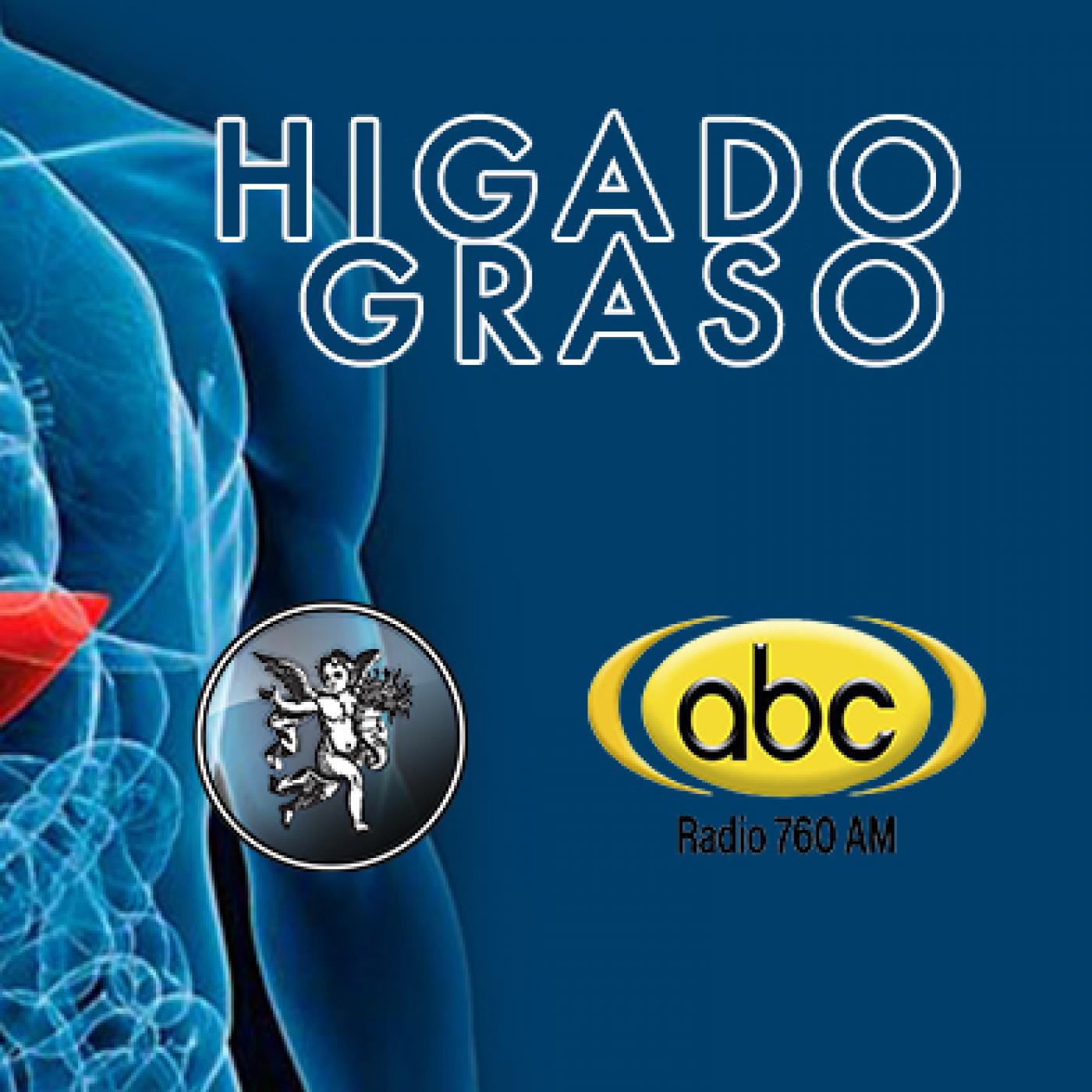 El Ángel De Tu Salud Rodrigo Mondragón Higado Graso En El Ángel De Tu Salud En Mp31102 A 2209