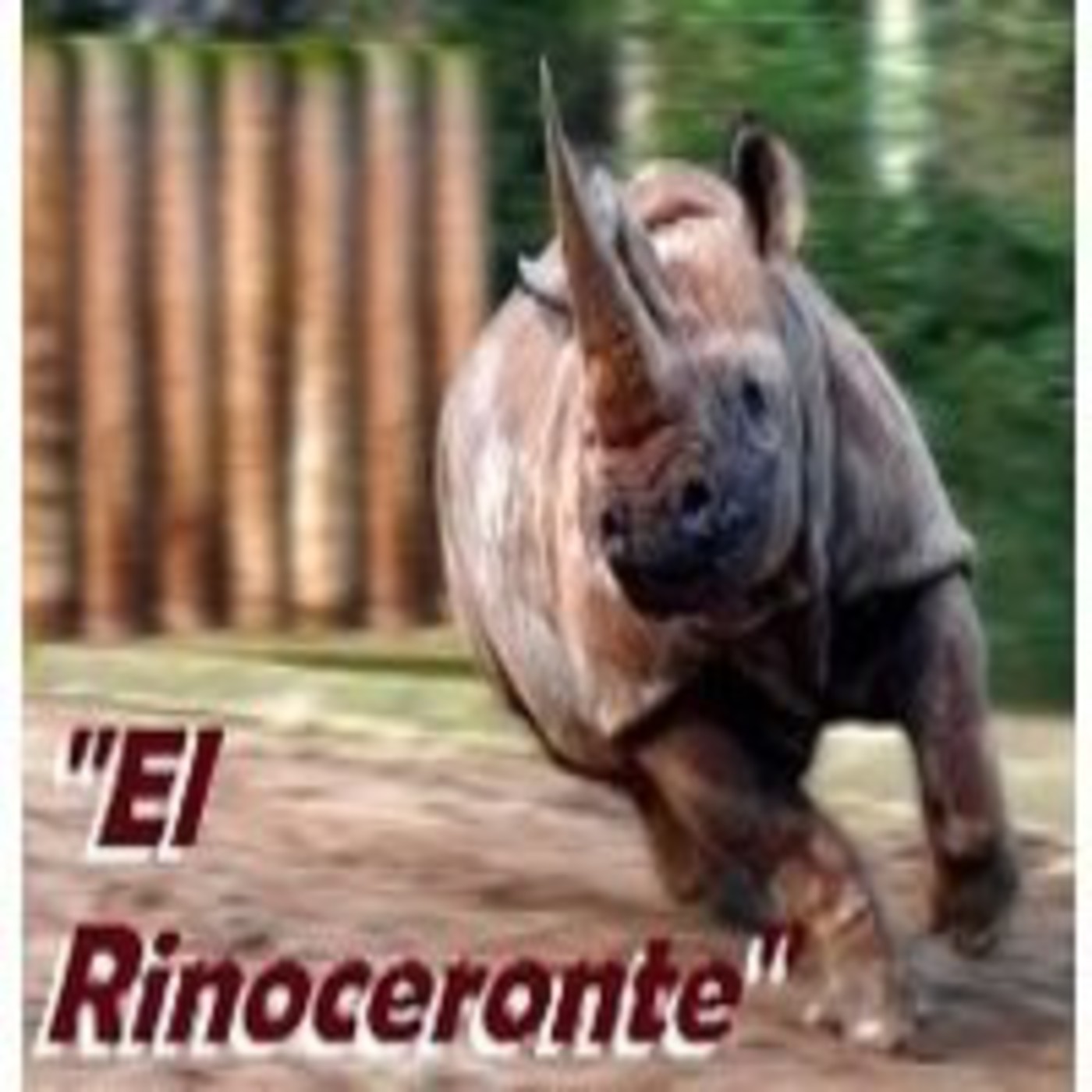 rhinoceros success torrent