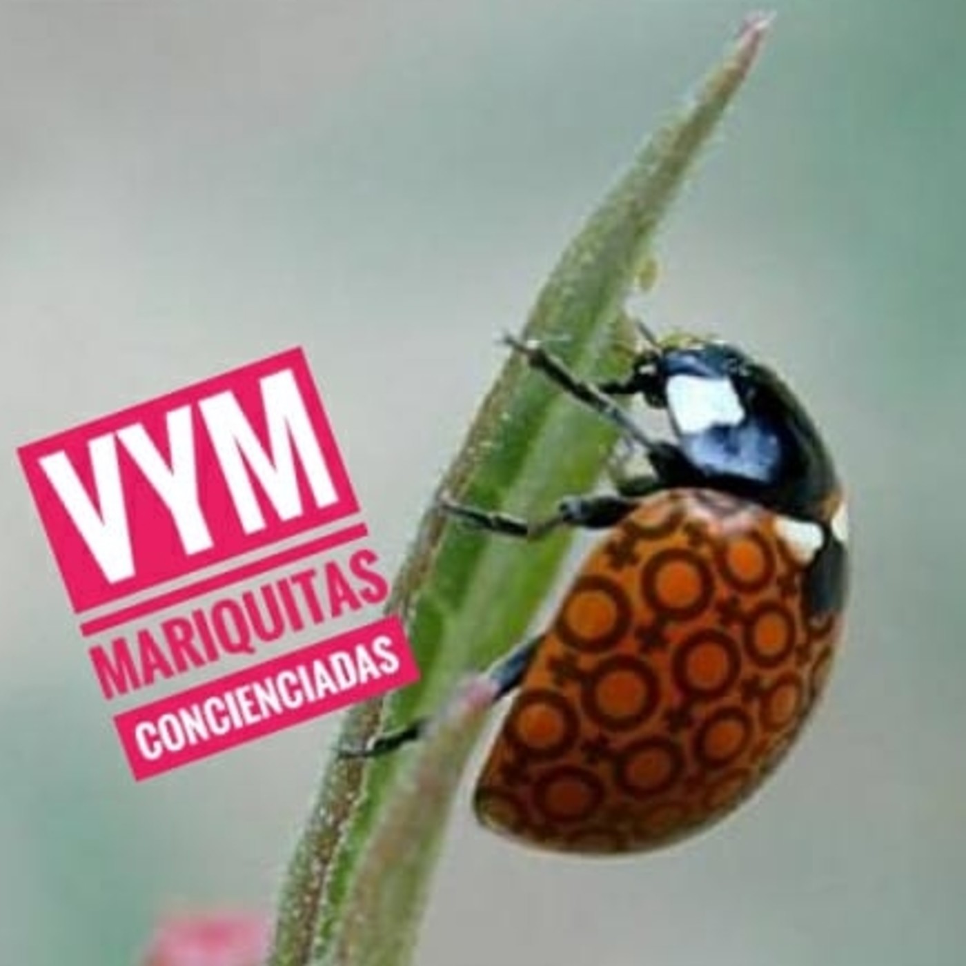 Vagos y Maleantes, el Podcast