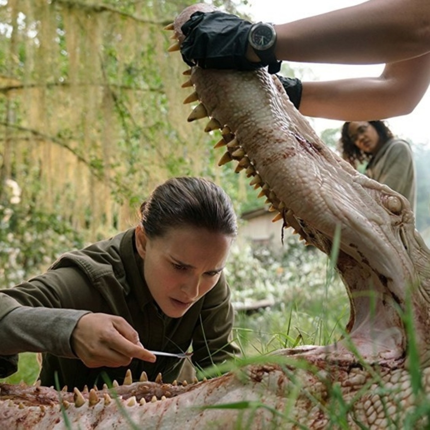 annihilation movie free download annihilation movie free download
