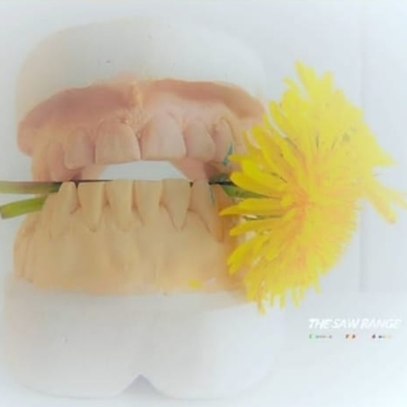P.674 -The Saw Range 'Flowers FOR Dreams' (2020)