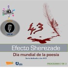 Programa 49: Día mundial de la poesía (programa 2)