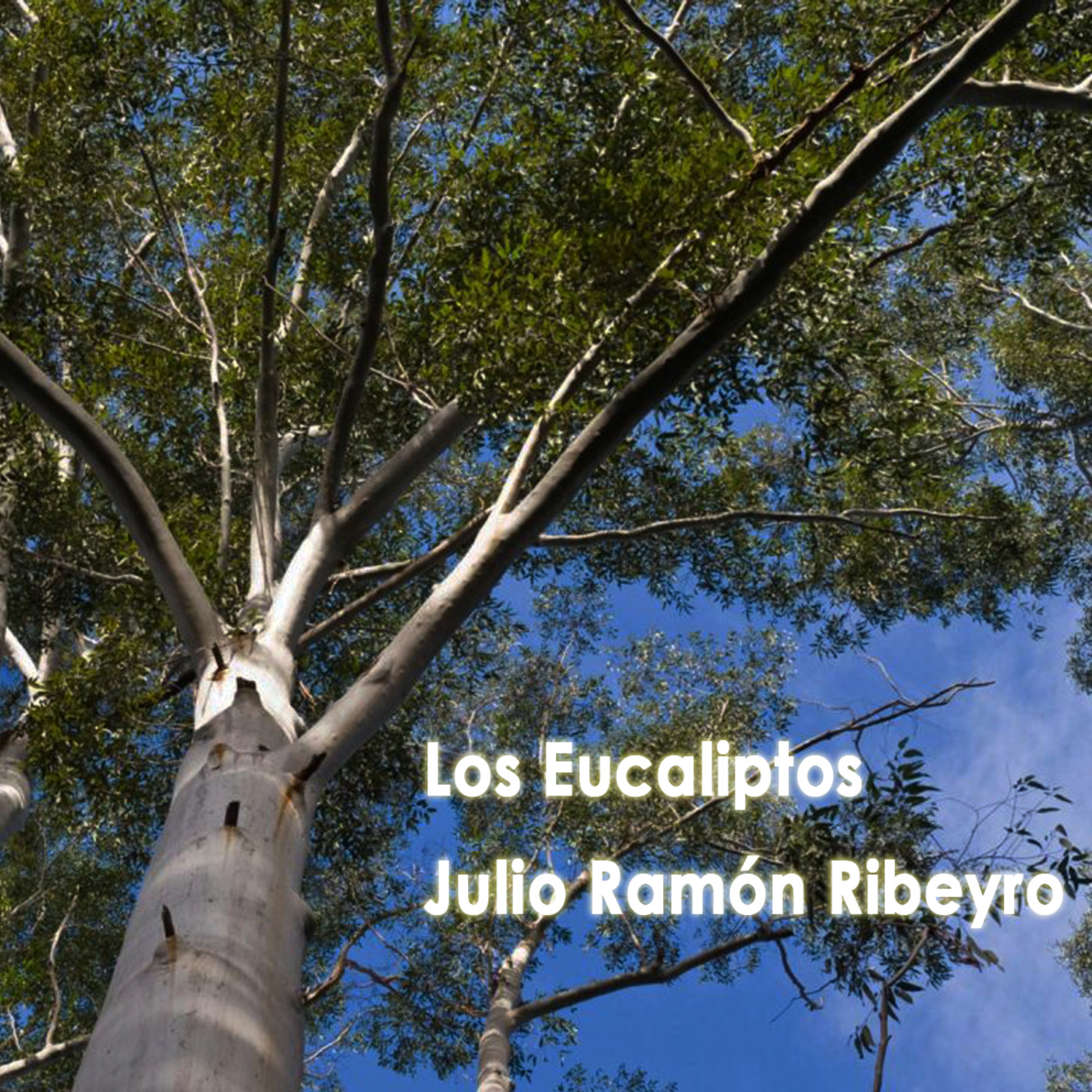 Julio Ramón Ribeyro Los Eucaliptos (audiolibro) en Y Así Pes