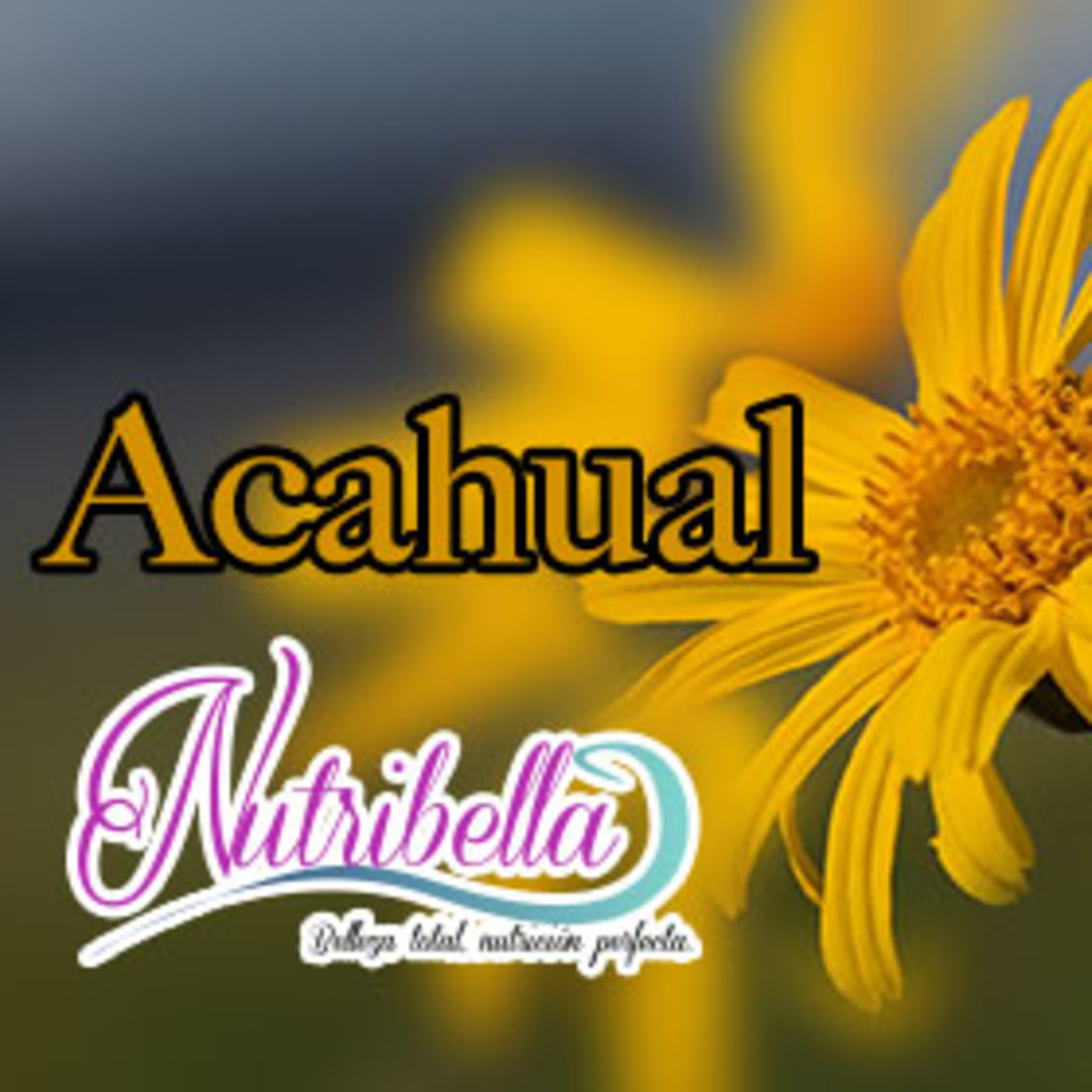 Nutribella Acahual En Podcast De Nutribella En Mp31906 A Las 222955 3927 26621955 Ivoox 2756