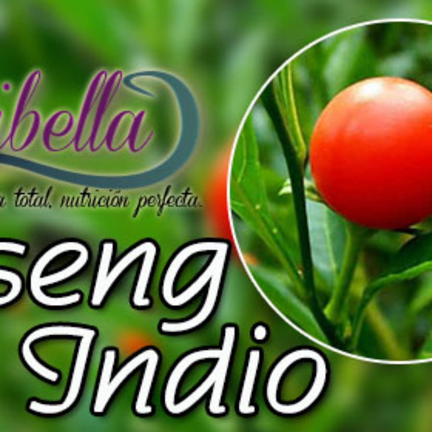 Ginseng Indio El Angel De Tu Salud
