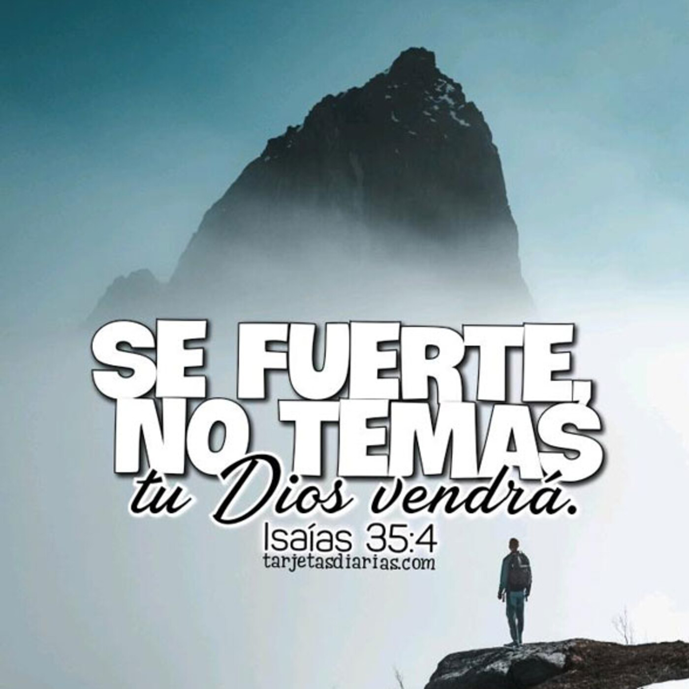 Domingo XII T.O : No tengáis miedo