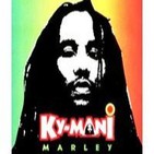 Ky-Mani Marley at Garance Reggae Festival concert live