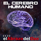 El Abrazo del Oso - El Cerebro Humano