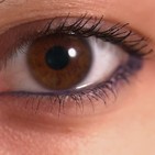 Medicina Natural y Tradicional: Alimentos que favorecen la salud ocular