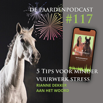 117 Vijf Tips Voor Minder Vuurwerk Stress Bij Je Paard Rianne Dekker