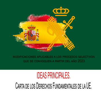 IDEAS PRINCIPALES. Carta De Los Derechos Fundamentales De La UE ...