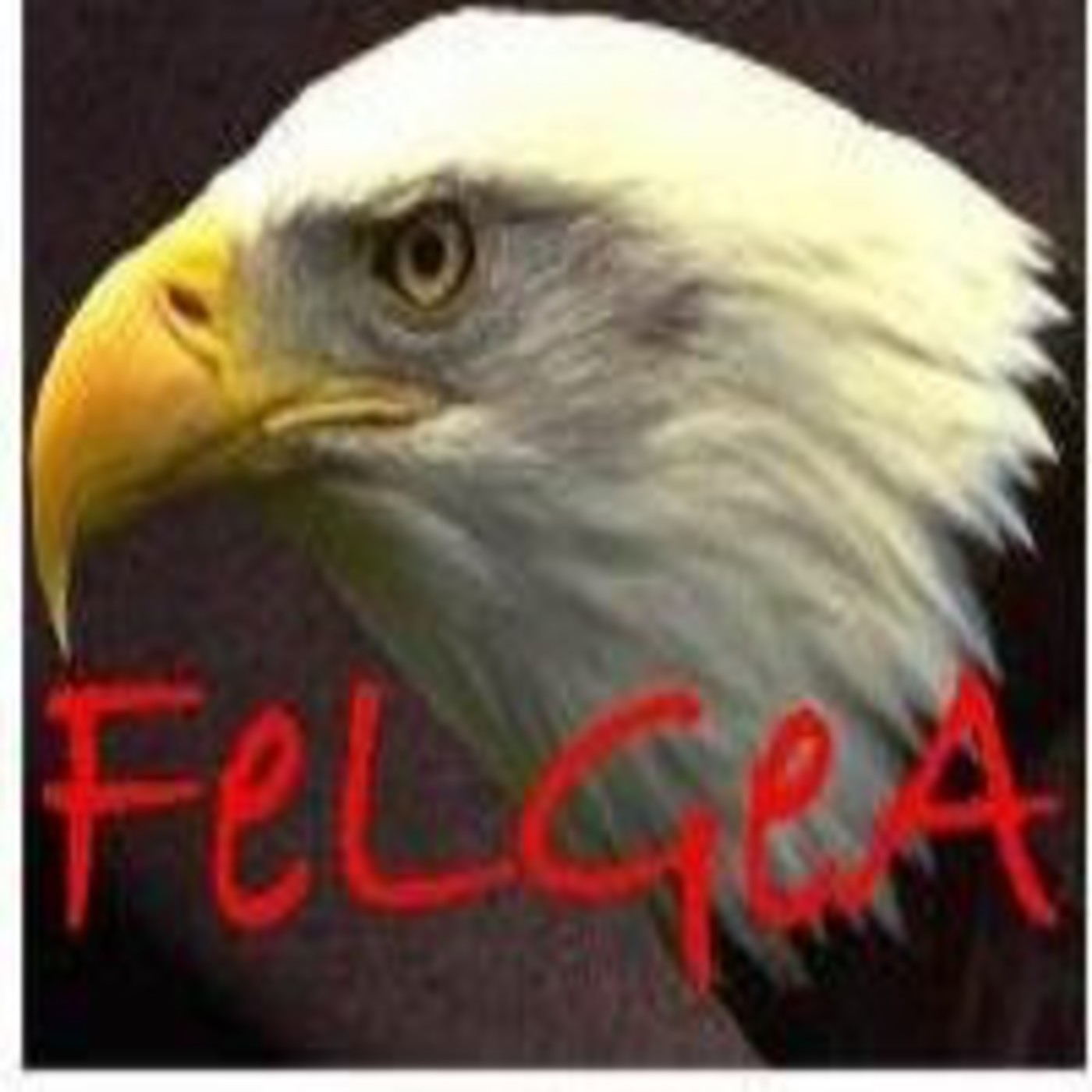 Porque Mi Pueblo Perece Por Falta De Conocimiento