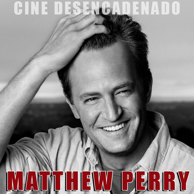 MATTHEW PERRY  Amigos, amantes y aquello tan terrible – La Llama