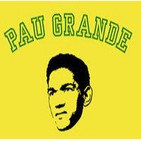 Fútbol Samba: Resumen estaduais 2012 parte 2