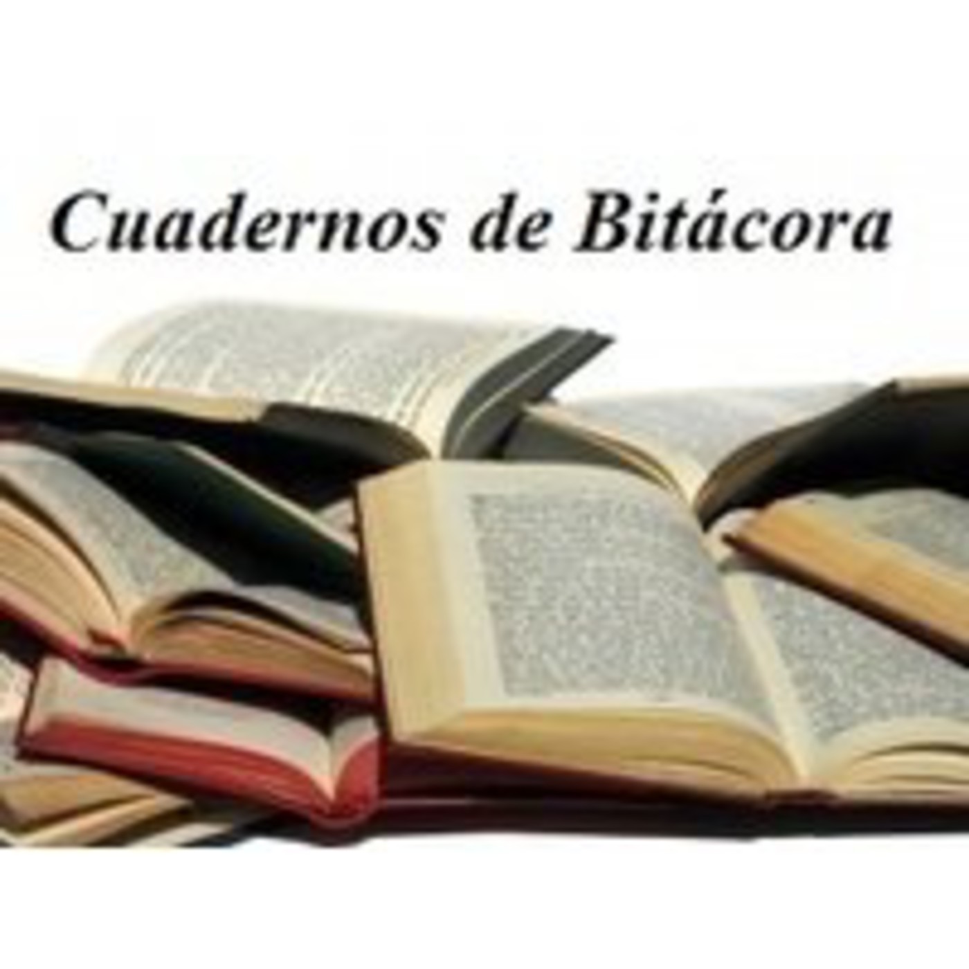 5 Пословиц О Книгах И Чтении