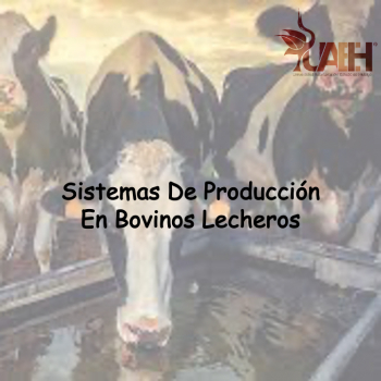 Sistemas De Producción En Bovinos Lecheros UAEH - Podcast En IVoox