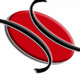 embed image