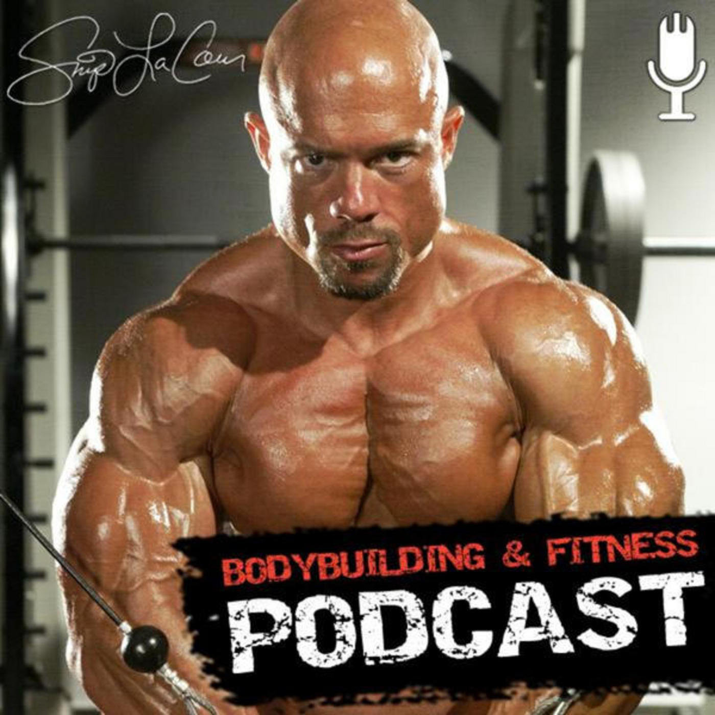 Interview With IFBB Hall Of Fame Bodybuilder SHAWN RAY 328 Skip La Cour's Bodybuilding and