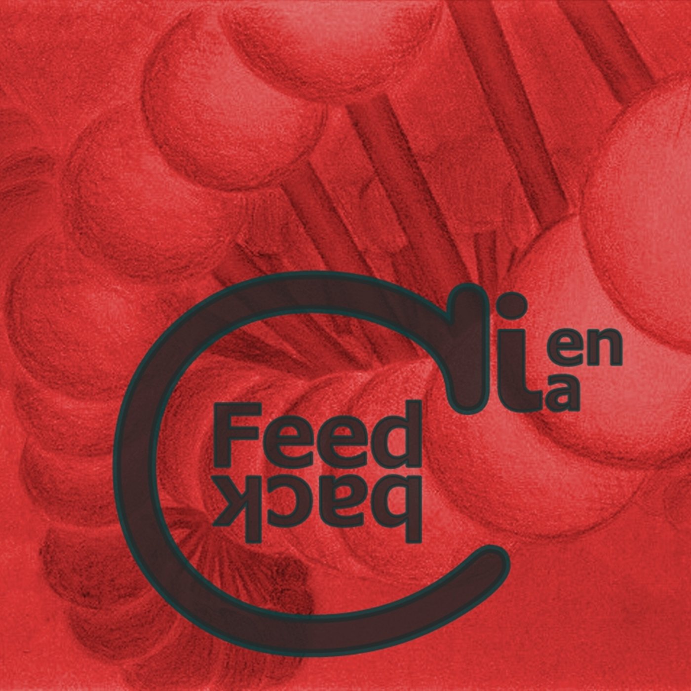 Logo de Feedback Ciencia