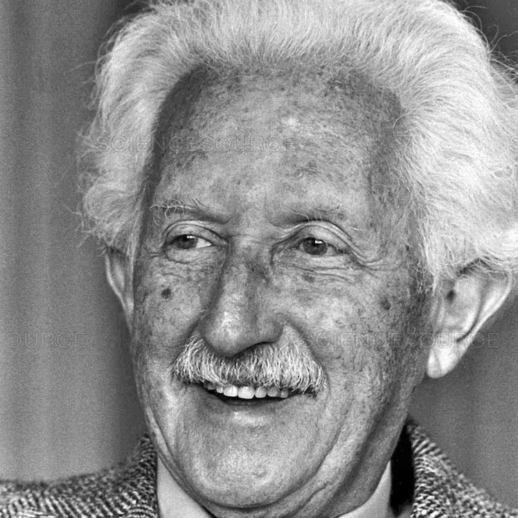Teoría del desarrollo psicosocial de Erik Erikson Podcast en iVoox